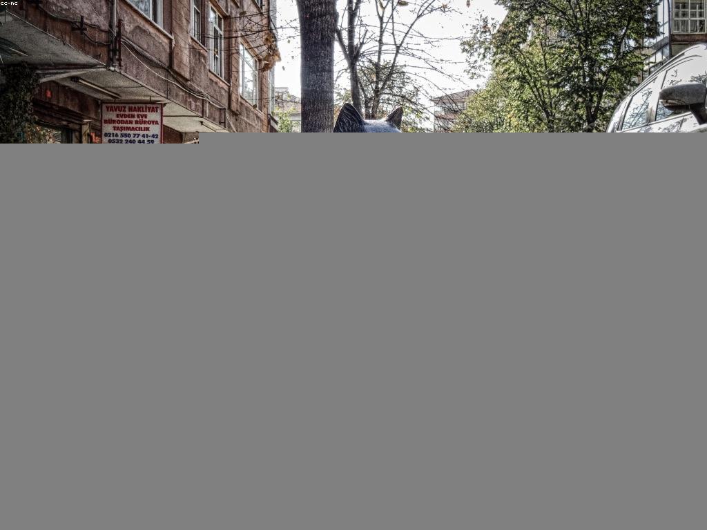 វិធីសាស្ត្រនៃការវិភាគកម្មវិធីយ៉ាងមានប្រសិទ្ធភាព
