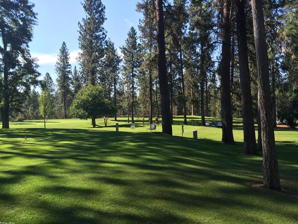 បទពិសោធន៍អាកាសចរណ៍កាស៊ីណូ: ការចូលរួមនៃកម្សាន្ត និងភ្លើងភ្លឺ